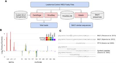 Lack of Viral Load Within Chronic Lymphoproliferative Disorder of Natural Killer Cells: What Is Outside the Leukemic Clone?